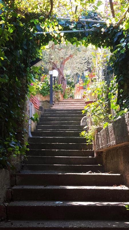 Delle Rose - image 5