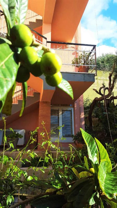 Delle Rose - image 33