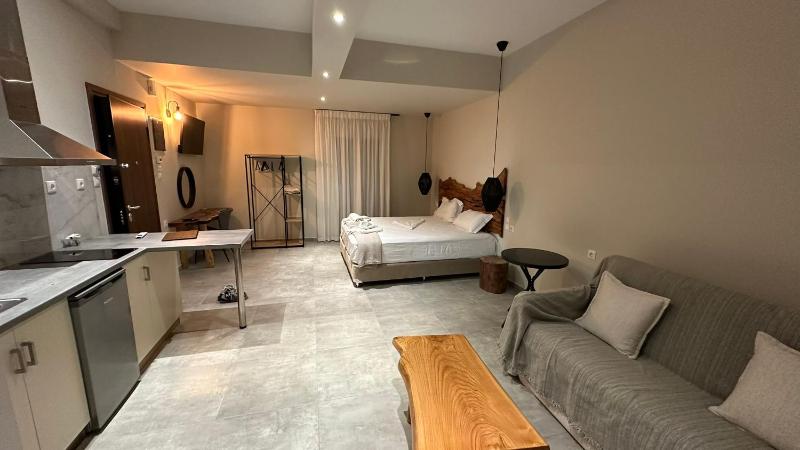 Deluxe King Suite image 1