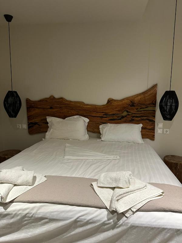 Deluxe King Suite image 2