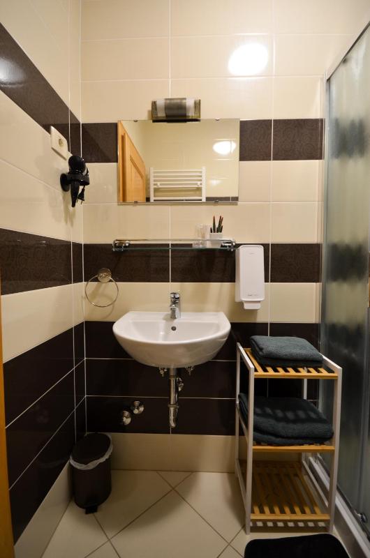 One-Bedroom Apartment image 4