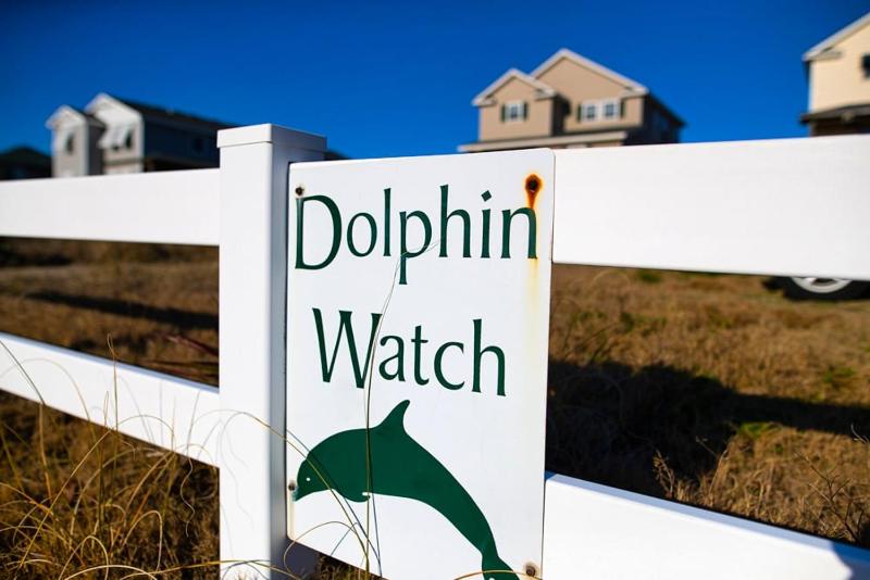 5060 - Dolphin`s Watch - image 33