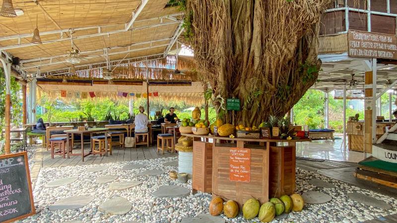 Serenity Eco Guesthouse and Yoga- CHSE certified - image 21