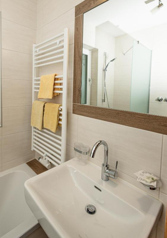One-Bedroom Apartment with Balcony (2-3 Adults) image 4
