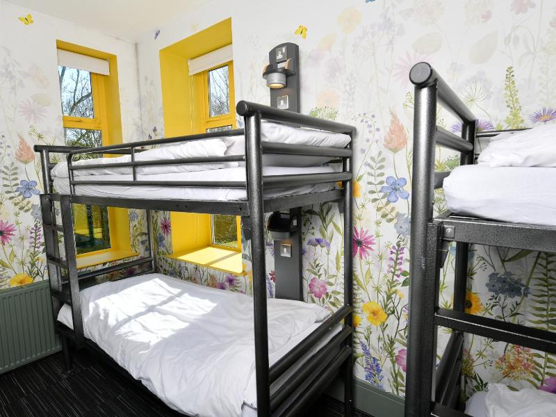 Bunk Bed in Male Dormitory Room with Shared Bathroom image 4