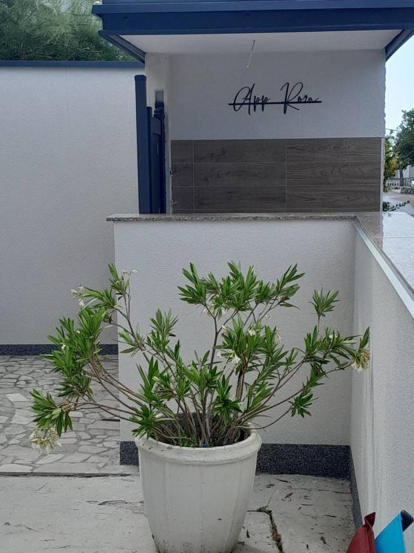Apartments Roza - image 19