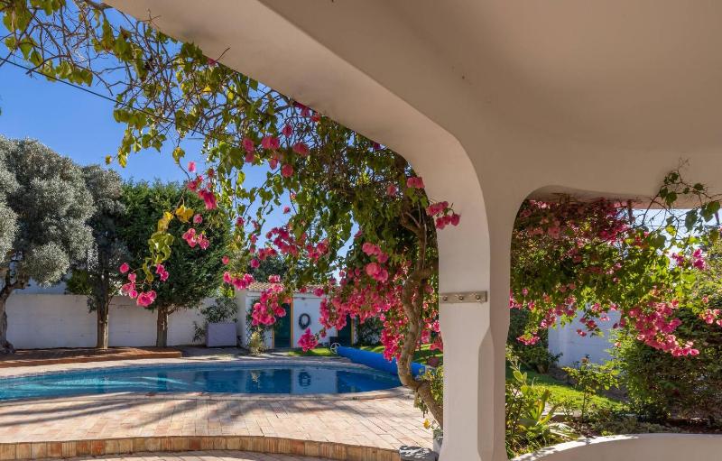 Casa Tambeim - image 31