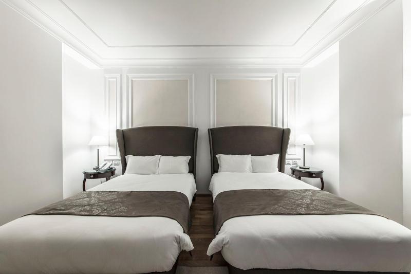 Deluxe Twin Room image 2