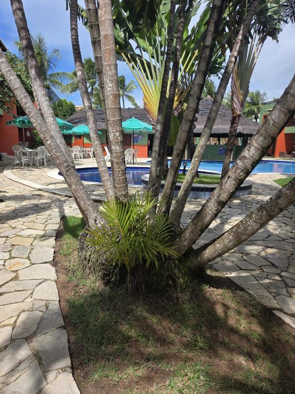 Colibri - Cozy Oceanview Stay in Central Pipa - image 34
