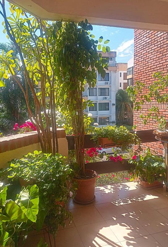 Green Garden & Balcon Cañada Strongest - image 9