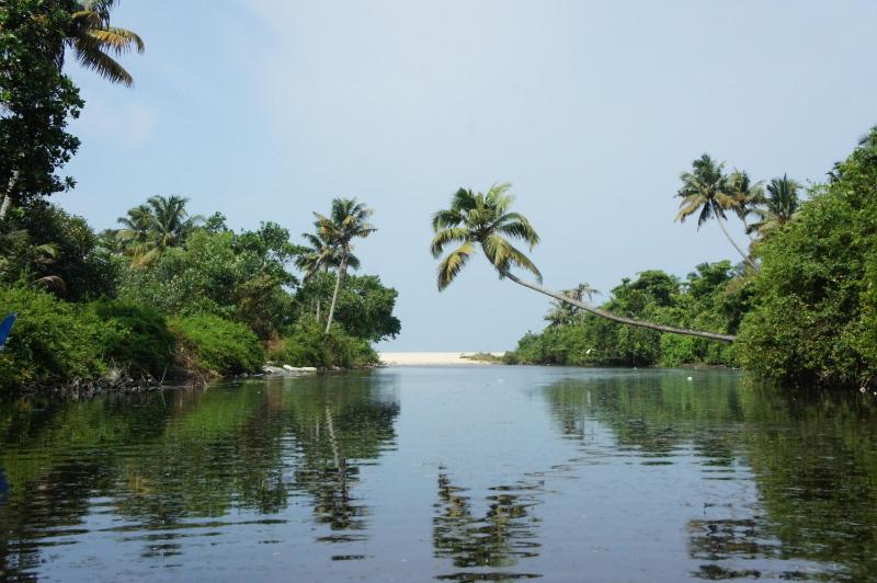 Marari Secret Beach Yoga & Kalarippayattu Homestay - image 45