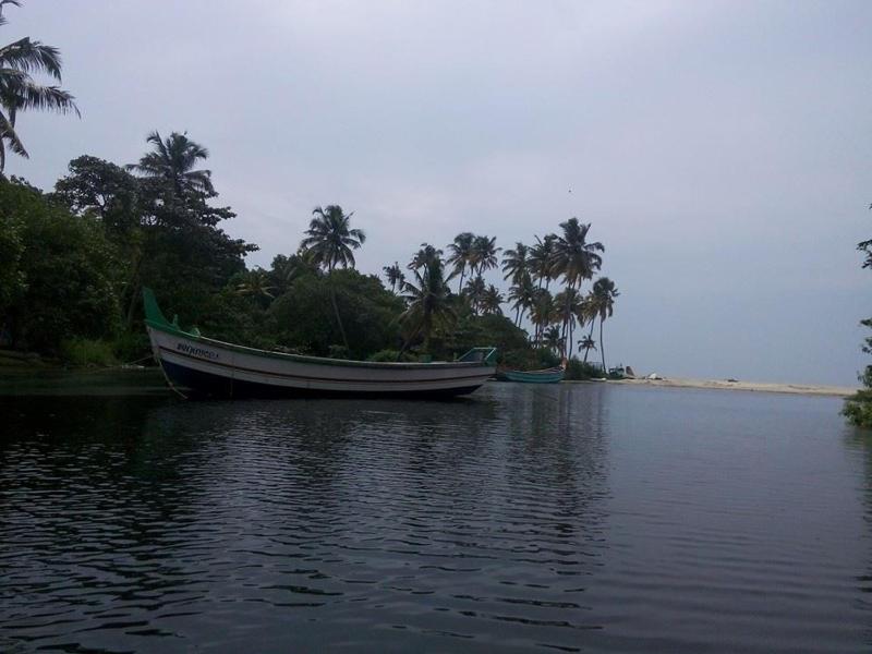 Marari Secret Beach Yoga & Kalarippayattu Homestay - image 24