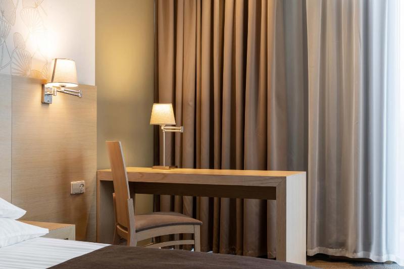 Superior Double Room image 3