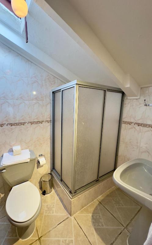 Hotel Küyen-Ko Pucón - image 7