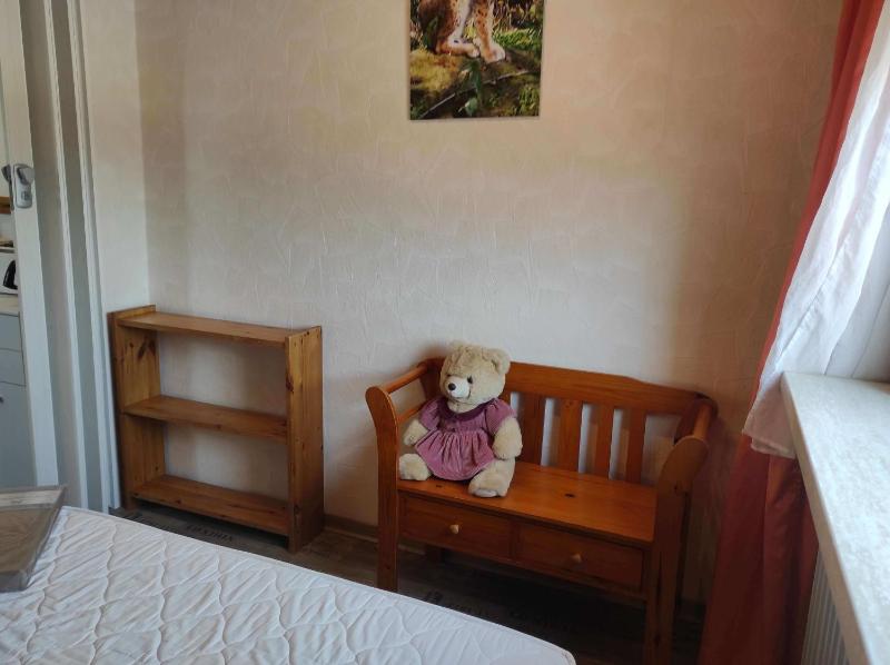 Ferienwohnung Harz de Luchs - image 4