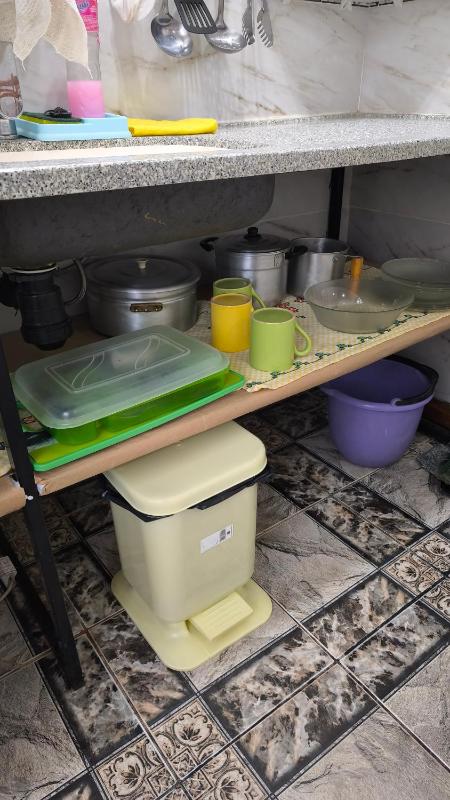Flor de Lis - image 21
