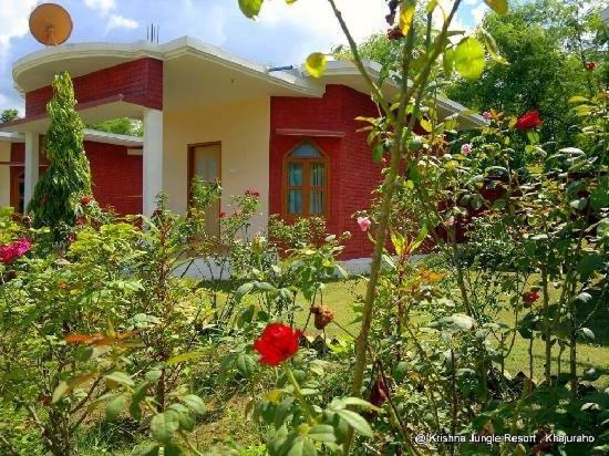 Backpackers Jungle Resort - image 8