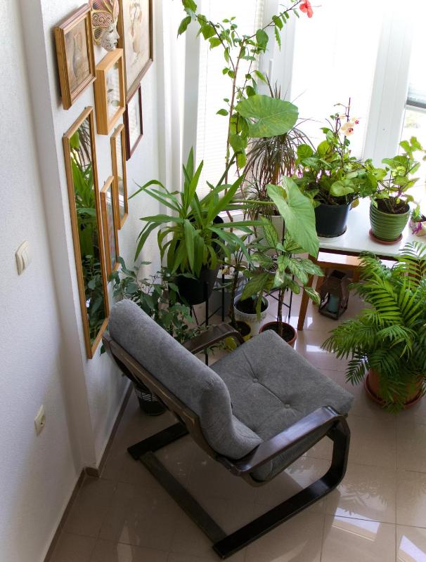 Studio with Balcony image 1