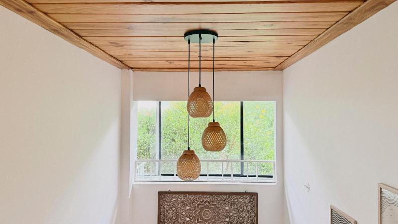 Pine Beach House - image 1
