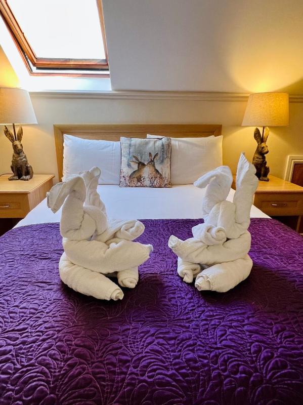 Double Room image 4