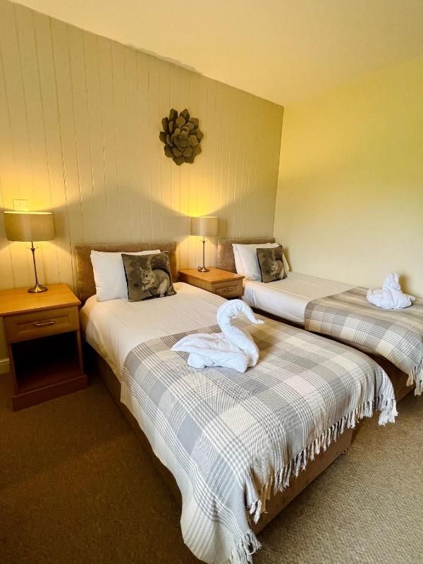 Twin Room image 3