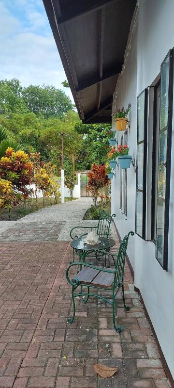 Casa G Private BeachfrontYour own private beach - image 16