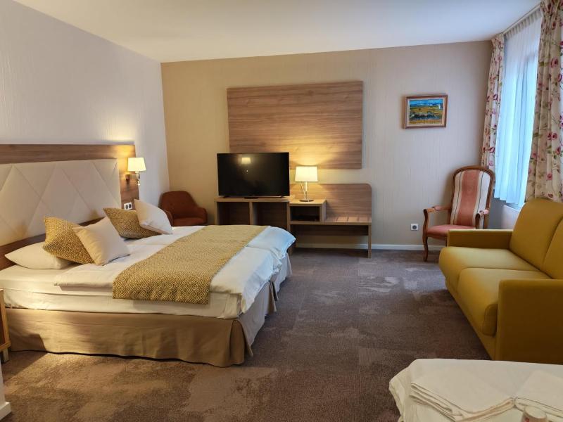 Superior Double Room image 1