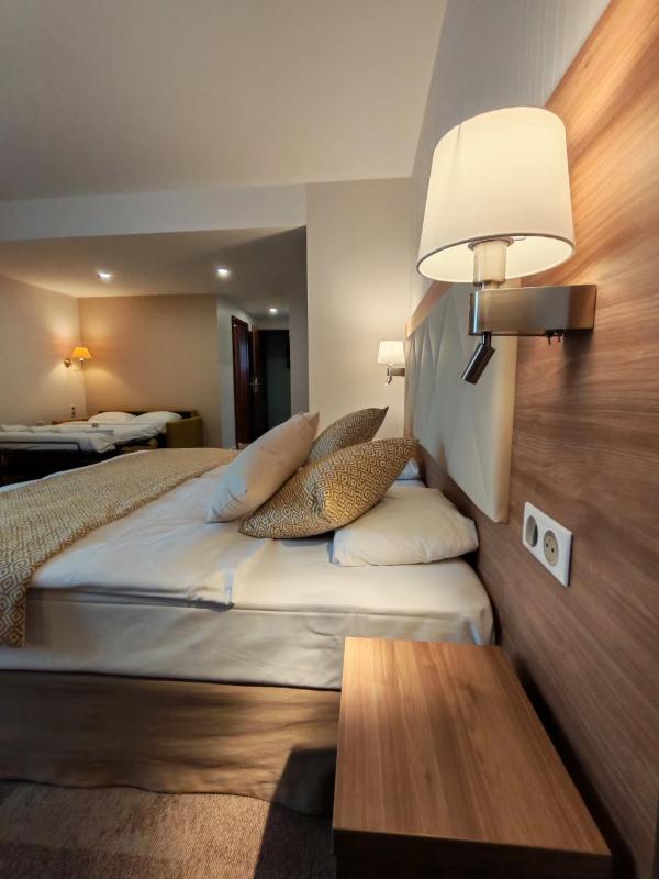 Superior Double Room image 4