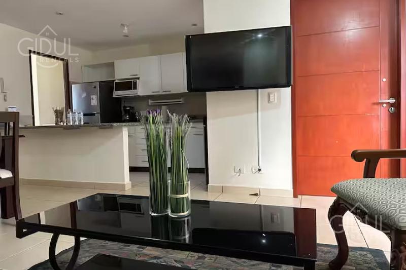 San Salvador Mountain & City Views Apartment - image 5