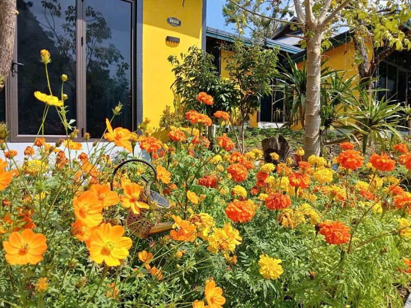 Catba Papillon Garden Bungalows & Resort - image 24