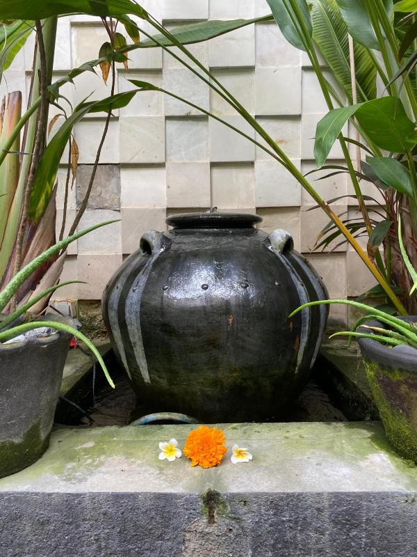 SURFARIS INN on poppies 2 - image 9
