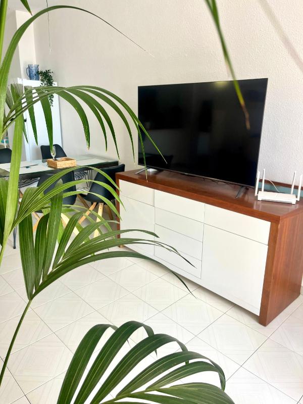 Palm Vista - image 11