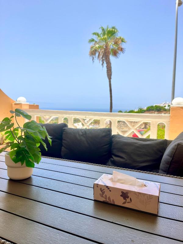 Palm Vista - image 2