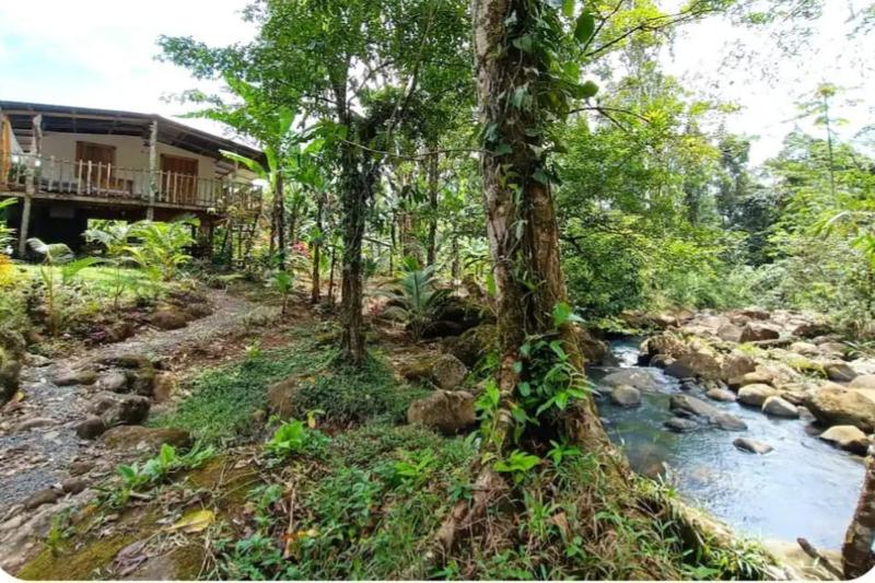 Cabins river blue - image 15