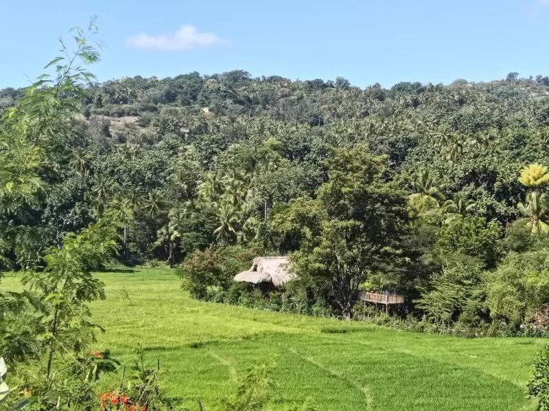 daTerra Baucau agroecological farm stay - image 3