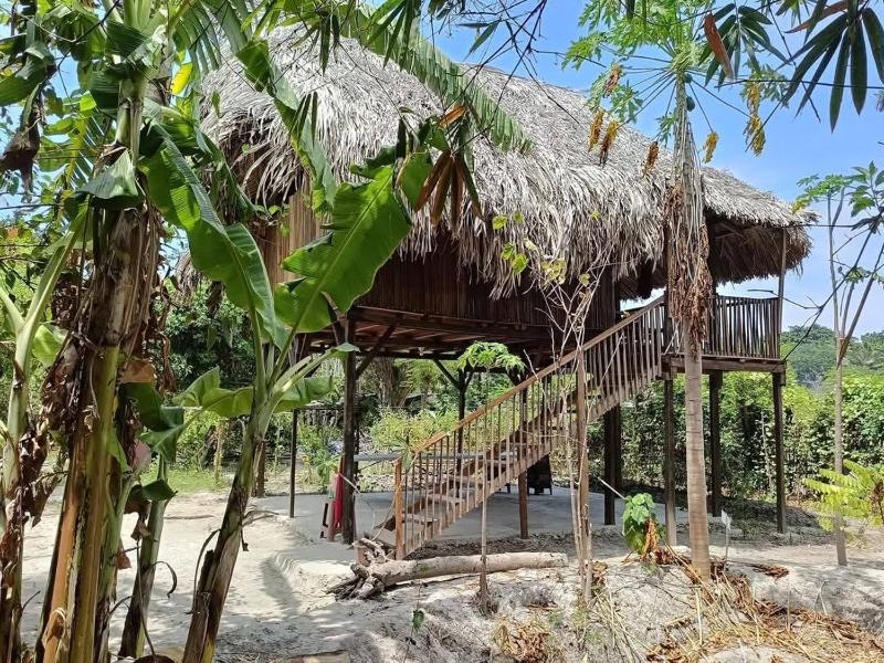 daTerra Baucau agroecological farm stay - image 15