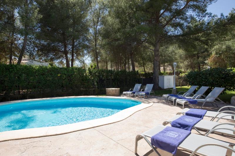 Cabot Villa Can Borras - image 33