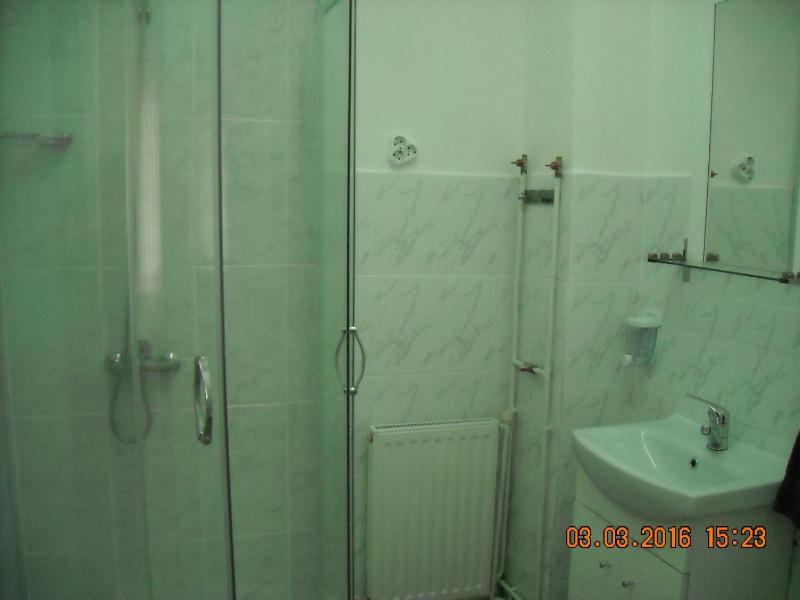 One-Bedroom Apartment image 2