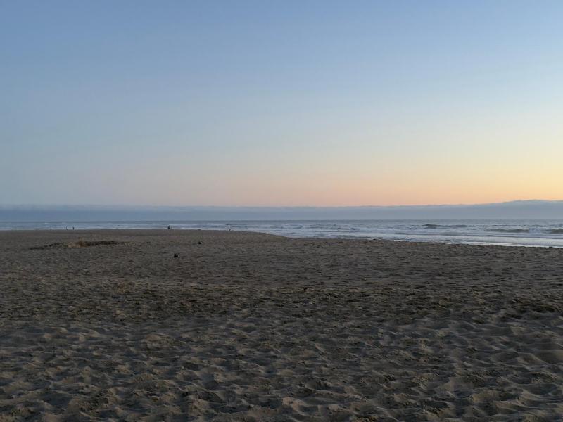 Seahorse Oceanfront Lodge - image 5