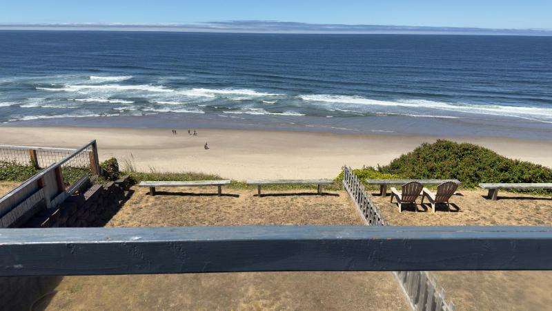 Seahorse Oceanfront Lodge - image 23