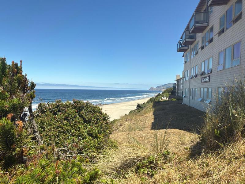 Seahorse Oceanfront Lodge - image 27