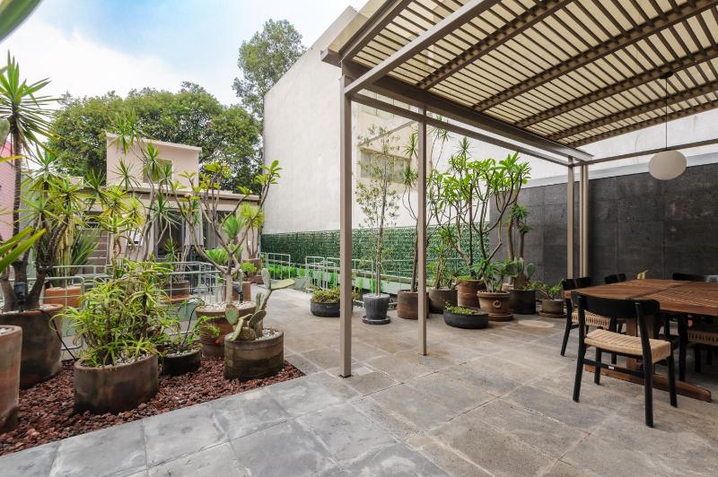 Zaterra A Tranquil Oasis in Roma Norte - image 6