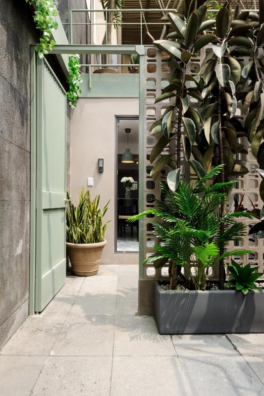 Zaterra A Tranquil Oasis in Roma Norte - image 10