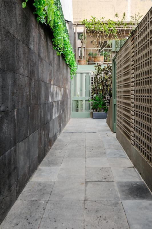 Zaterra A Tranquil Oasis in Roma Norte - image 8