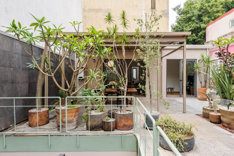 Zaterra A Tranquil Oasis in Roma Norte - image 22