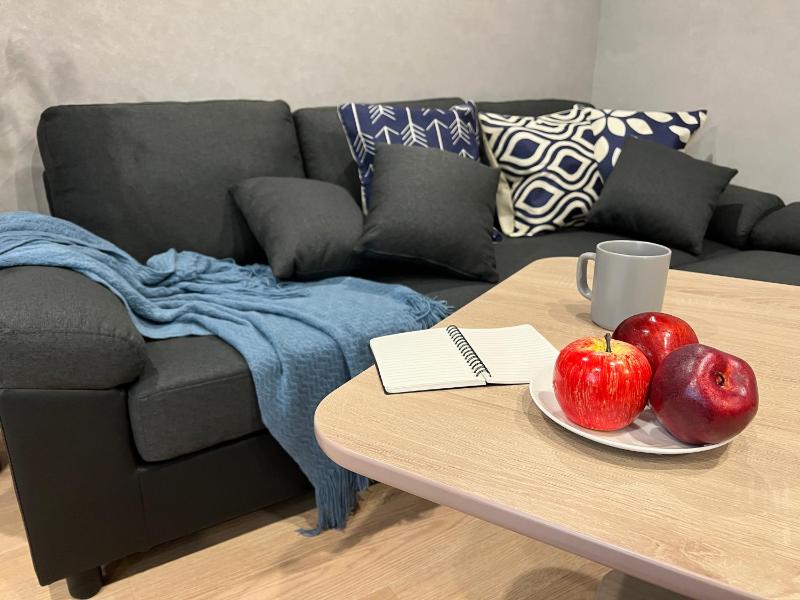 nestay villa tokyo nippori - image 10