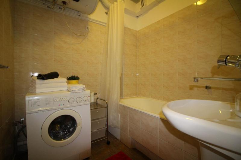 One-Bedroom Apartment image 4