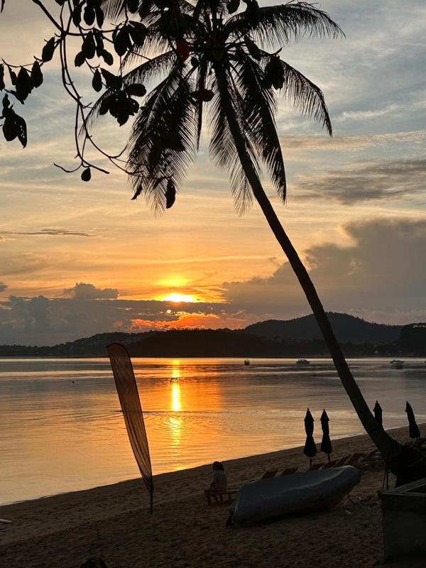 Pico Samui - image 19
