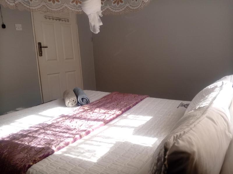 Quest - image 11