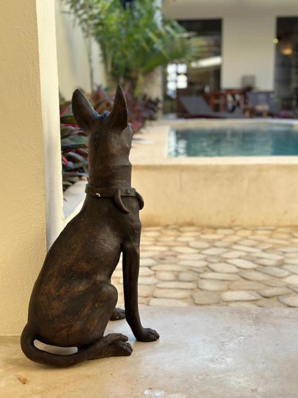 Luxury Heaven in Merida Poolside Bliss in La Ermita - image 15
